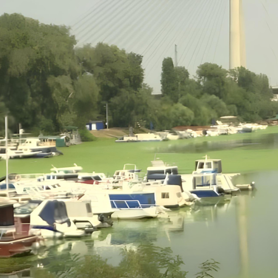 ZAGAĐENJE ILI PRIRODNA POJAVA? Šta se to pojavilo u rukavcu kod Ade Ciganlije? (VIDEO)